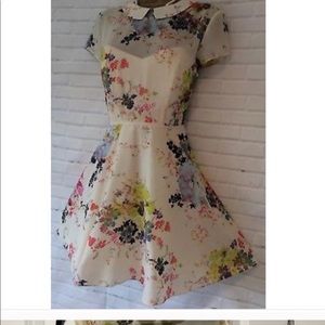 Ted baker dress